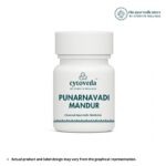 Punarnavadi Mandur250 mg, Pack of 30 Tablets